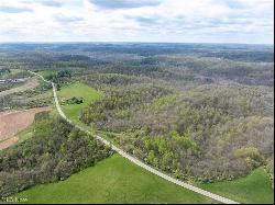 S State Route 555 #38.316+- acres, Chesterhill OH 43728