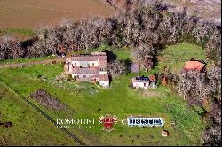 Tuscany - RUSTIC FARMHOUSE WITH HOBBY VINEYARDS FOR SALE ONE HOUR FROM THE SEA, MAREMMA