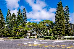 Waikoloa Hills Condo