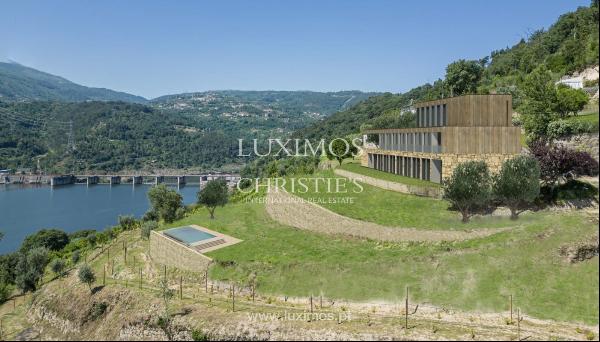 Farm for sale, next to the River Douro, in Marco de Canaveses, Portugal