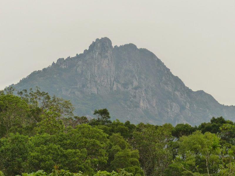 Lion Rock from Kowloon Tong-side 