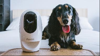 The best tech for pets