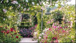 Fragrance and formality: a short history of rose gardens