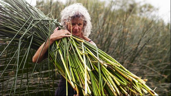 Rush-weaver Felicity Irons on the joy of bringing an ancient craft into the 21st century