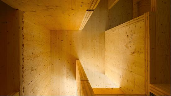 The architects pioneering the use of timber for sustainable homebuilding in the UK