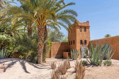 Spotlight on Morocco: The Creative Desert Oasis
