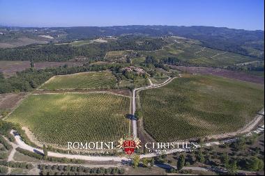 Chianti Classico - WINE ESTATE WITH 33 HECTARES OF VINEYARDS FOR SALE IN TUSCANY
