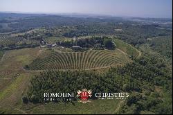 CASTLE FOR SALE ITALY, CHIANTI CLASSICO WINE RY DOCG TUSCANY AREA