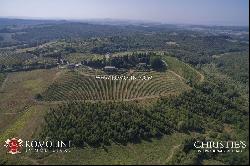 Chianti Classico - CASTLE WITH VINEYARDS AND WINERY FOR SALE IN TUSCANY