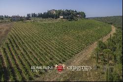 CASTLE FOR SALE ITALY, CHIANTI CLASSICO WINE RY DOCG TUSCANY AREA