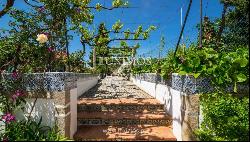 Vineyard with swimming pool, Maia, Porto, Portugal