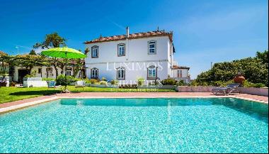 Vineyard with swimming pool, Maia, Porto, Portugal
