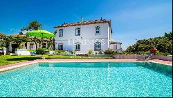 Vineyard with swimming pool, Maia, Porto, Portugal
