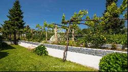 Vineyard with swimming pool, Maia, Porto, Portugal