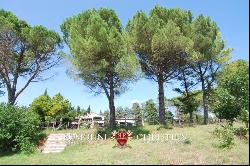 Umbria - OLD FARMHOUSE FOR SALE WITH POOL AND GARDEN IN UMBRIA