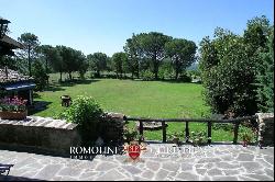 Umbria - OLD FARMHOUSE FOR SALE WITH POOL AND GARDEN IN UMBRIA