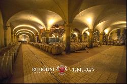 ORGANIC WINE ESTATE WITH 33 HA OF VINEYARDS FOR SALE, CHIANTI CLASSICO