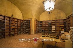 ORGANIC WINE ESTATE WITH 33 HA OF VINEYARDS FOR SALE, CHIANTI CLASSICO