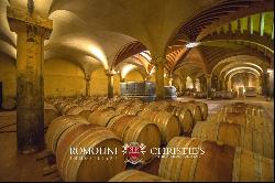 ORGANIC WINE ESTATE WITH 33 HA OF VINEYARDS FOR SALE, CHIANTI CLASSICO