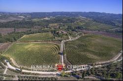 ORGANIC WINE ESTATE WITH 33 HA OF VINEYARDS FOR SALE, CHIANTI CLASSICO