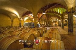 ORGANIC WINE ESTATE WITH 33 HA OF VINEYARDS FOR SALE, CHIANTI CLASSICO