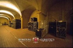 ORGANIC WINE ESTATE WITH 33 HA OF VINEYARDS FOR SALE, CHIANTI CLASSICO