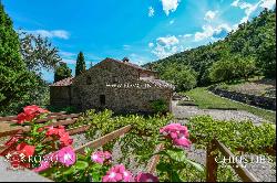 ORGANIC FARM, ESTATE FOR SALE TUSCANY