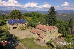 ORGANIC FARM, ESTATE FOR SALE TUSCANY