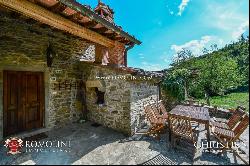 ORGANIC FARM, ESTATE FOR SALE TUSCANY