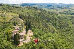 FARMHOUSE VINEYARD OLIVE GROVE SALE GREVE IN CHIANTI