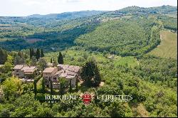 FARMHOUSE VINEYARD OLIVE GROVE SALE GREVE IN CHIANTI