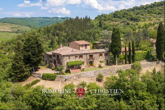 FARMHOUSE VINEYARD OLIVE GROVE SALE GREVE IN CHIANTI