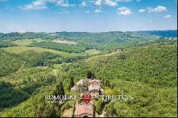 FARMHOUSE VINEYARD OLIVE GROVE SALE GREVE IN CHIANTI