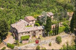 FARMHOUSE VINEYARD OLIVE GROVE SALE GREVE IN CHIANTI