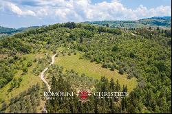 FARMHOUSE VINEYARD OLIVE GROVE SALE GREVE IN CHIANTI