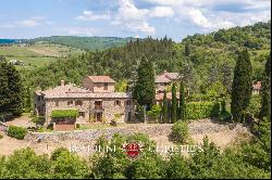 FARMHOUSE VINEYARD OLIVE GROVE SALE GREVE IN CHIANTI