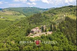 FARMHOUSE VINEYARD OLIVE GROVE SALE GREVE IN CHIANTI