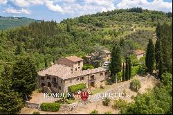 FARMHOUSE VINEYARD OLIVE GROVE SALE GREVE IN CHIANTI