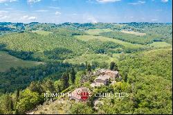 FARMHOUSE VINEYARD OLIVE GROVE SALE GREVE IN CHIANTI