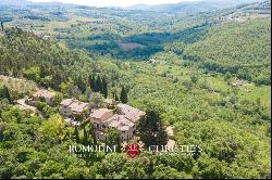 FARMHOUSE VINEYARD OLIVE GROVE SALE GREVE IN CHIANTI