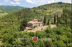 FARMHOUSE VINEYARD OLIVE GROVE SALE GREVE IN CHIANTI