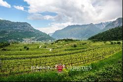 WINE ESTATE FOR SALE IN TRENTINO-ALTO ADIGE