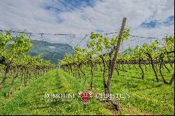 WINE ESTATE FOR SALE IN TRENTINO-ALTO ADIGE