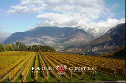 WINE ESTATE FOR SALE IN TRENTINO-ALTO ADIGE