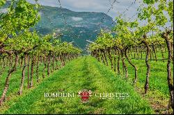 WINE ESTATE FOR SALE IN TRENTINO-ALTO ADIGE