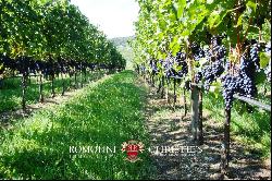 WINE ESTATE FOR SALE IN TRENTINO-ALTO ADIGE