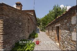 TUSCAN ESTATE WITH MANOR VILLA, 10 HA OF LAND, VINEYARDS,OLIVE GROVE FOR SALE IN ITALY, T