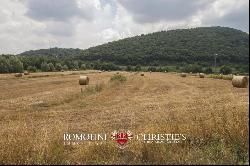 TUSCAN ESTATE WITH MANOR VILLA, 10 HA OF LAND, VINEYARDS,OLIVE GROVE FOR SALE IN ITALY, T