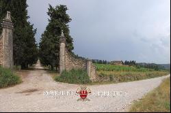 TUSCAN ESTATE WITH MANOR VILLA, 10 HA OF LAND, VINEYARDS,OLIVE GROVE FOR SALE IN ITALY, T