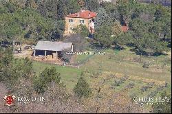 Tuscany - FARMHOUSE FOR SALE IN LUCIGNANO WITH POOL TUSCANY